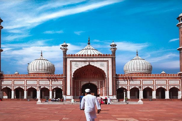 Al Quran Surah Al Fil Lengkap dengan Terjemahan Bahasa Indonesia, Salah Satu Hewan Bukti Kebesaran Allah SWT