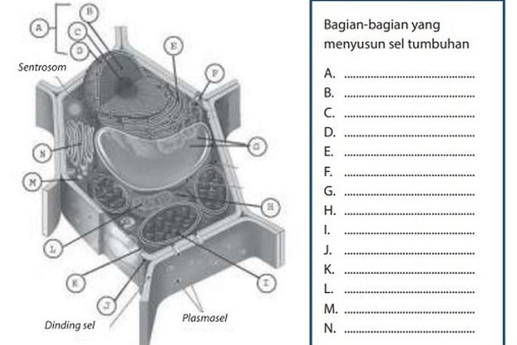 Kunci Jawaban IPA Kelas 7 SMP atau MTs Uji Kompetensi Bab 1 Semester 2 Halaman 25 26 27