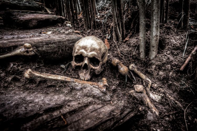 [Fiksi Mini] Minggu Horror Part 3: Pembongkaran Makam