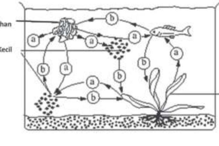 Kunci Jawaban IPA Kelas 7 SMP atau MTs Uji Kompetensi Bab 2 Semester 2 Halaman 43 44 45 46