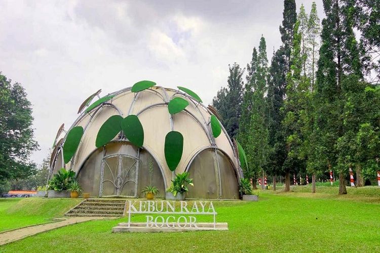 Kebun Raya Bogor Disiapkan untuk Event Sebelum G20, Ridwan Kamil Sebut ‘Kalau Dekat Pohon Besar Stres Menurun’