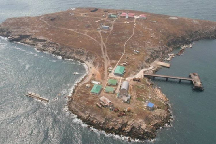 Volodymyr Zelensky Sebut Militer Rusia Berhasil Merebut Sebuah Pulau dari Ukraina di Hari Pertama Invasi