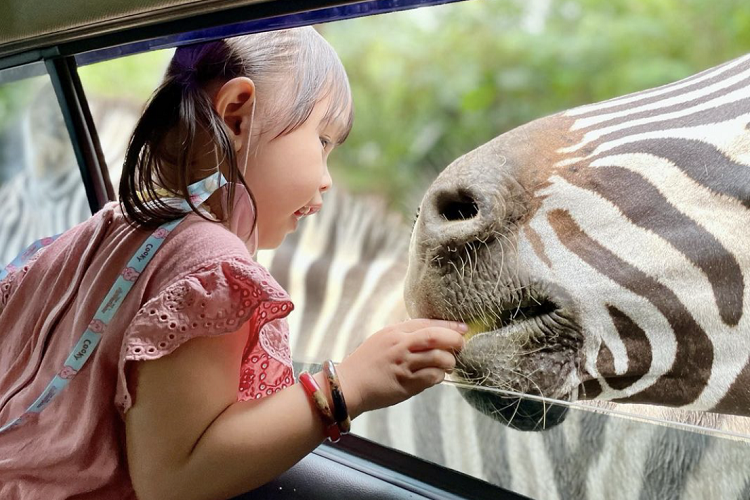 5 Tips Parenting ala Orang Tua Lala Shabira, Salah Satunya Ajarkan Bertutur Kata yang Baik