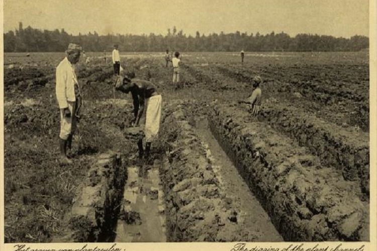 Latar Belakang Penerapan Cultuurstelsel  di Hindia-Belanda, Benarkah untuk Menutupi Hutang?