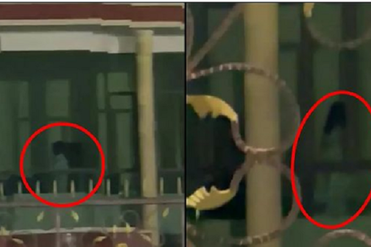 Video Penampakan Kuntilanak Viral di Media Sosial, Ini Komentar Lucu Warganet