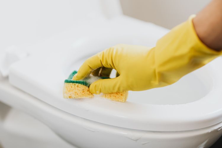 Simak 5 Penyebab Toilet di Rumah Sering Mengeluarkan Bau Tak Sedap, Begini Cara Mengatasinya