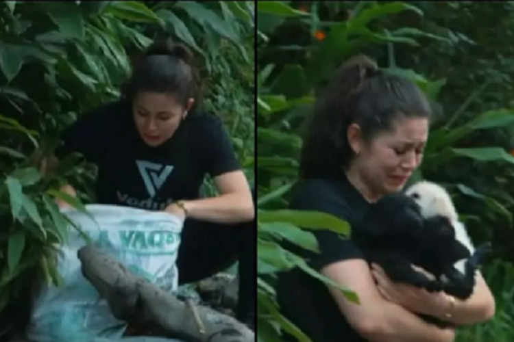 Video Detik-Detik Wanita Selamatkan 3 Ekor Anjing yang Dibuang Pemiliknya, Warganet Ragu Ini Settingan