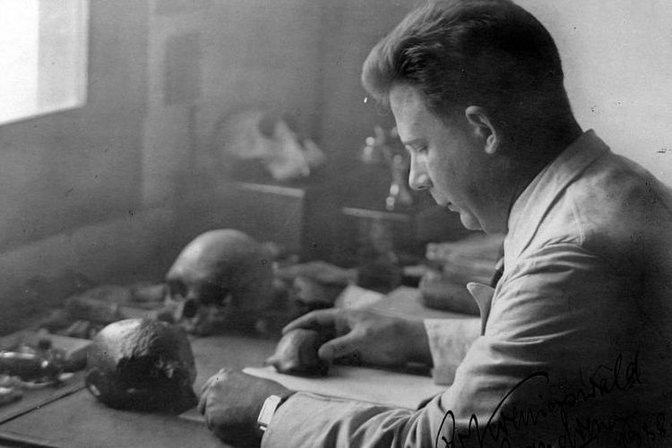 Megantrophus Palaeojavanicus Fosil Paling Primitif, Simak Penemuan, Sejarah dan Ciri-Ciri Kehidupannya