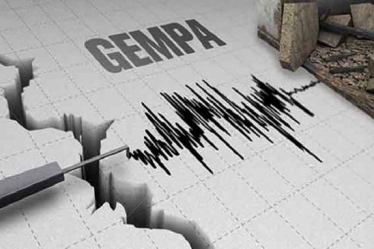 Gempa Bumi Berkekuatan 6,0 SR Guncang Maluku Utara, BMKG: Tidak Ada Potensi Tsunami