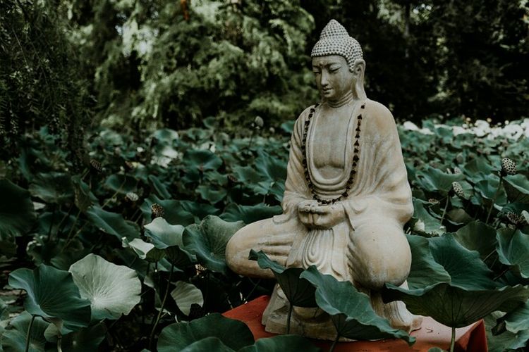 10 Link Twibbon Ucapan Selamat Hari Raya Waisak ke 2566 BE atau 2022, Meriahkan Momen Waisakmu di Medsos