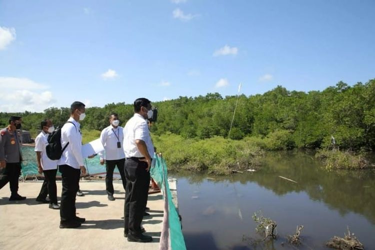 Luhut Meninjau Kawasan Mangrove Tahura dan GWK untuk Memastikan Kesiapan Bali dalam Menyambut KTT G20 2022