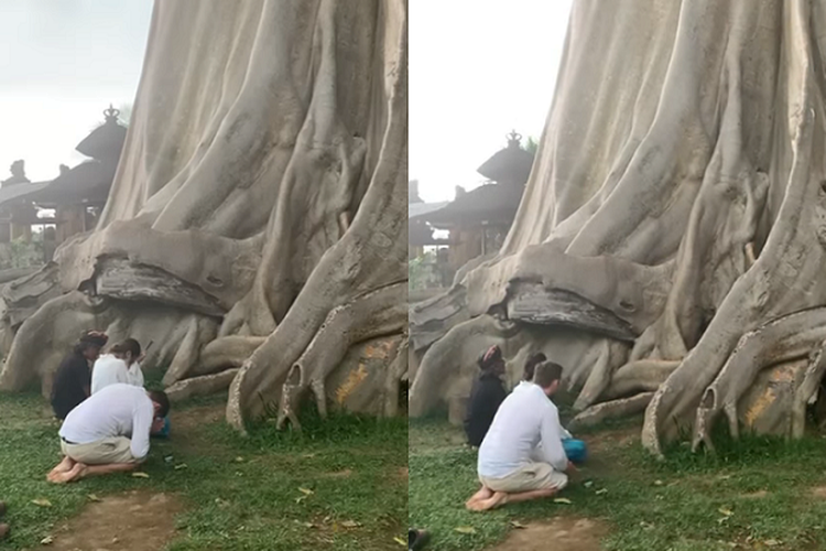 Turis Foto Telanjang di Pohon Sakral Tidak Cukup Minta Maaf, Harus Dideportasi karena Mencoreng Budaya Bali