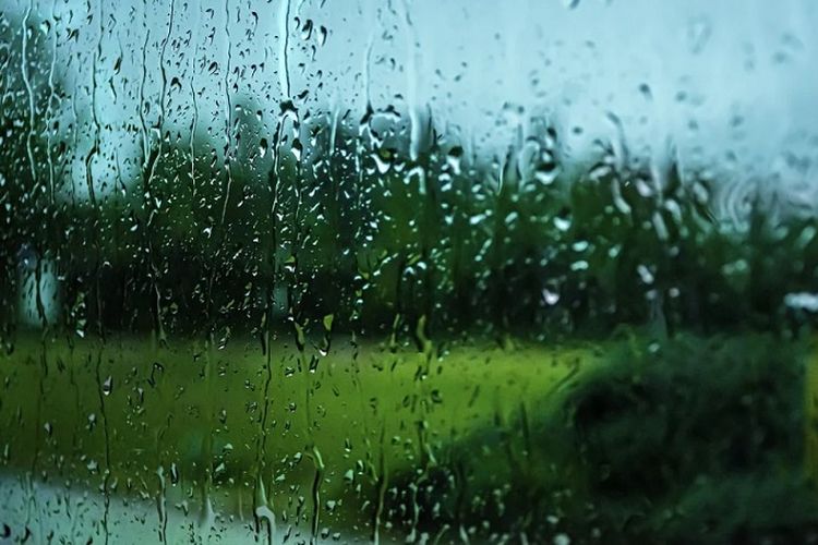 Prakiraan Cuaca Hari Ini Wilayah Pekanbaru dari BMKG, Siang Cerah Berawan, Malam Hujan Ringan