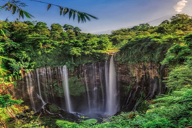 Keren! Air Terjun Tumpak Sewu Lumajang Siap Go Internasional, Cak Thoriq Bakal Gandeng Calon Investor Korea