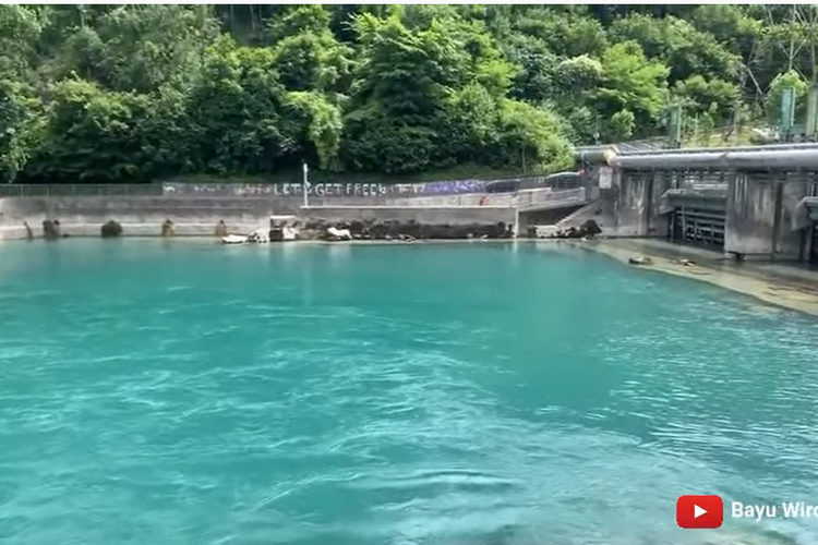 Eril Ditemukan di Bendungan Engehalde Bern Swiss, Berapakah Jarak dari Lokasi Hilangnya? Ini Penjelasannya