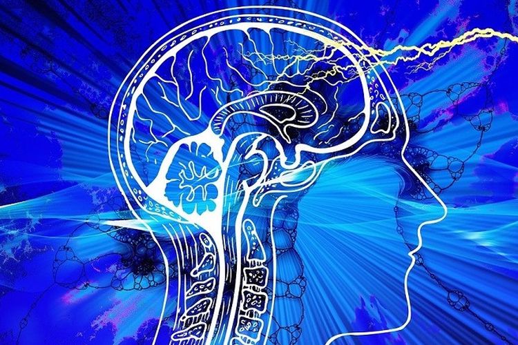 Perbedaan Mendasar Otak Kiri dan Kanan Anak Menurut dr. Aisah Dahlan, Orang Tua Wajib Tahu!