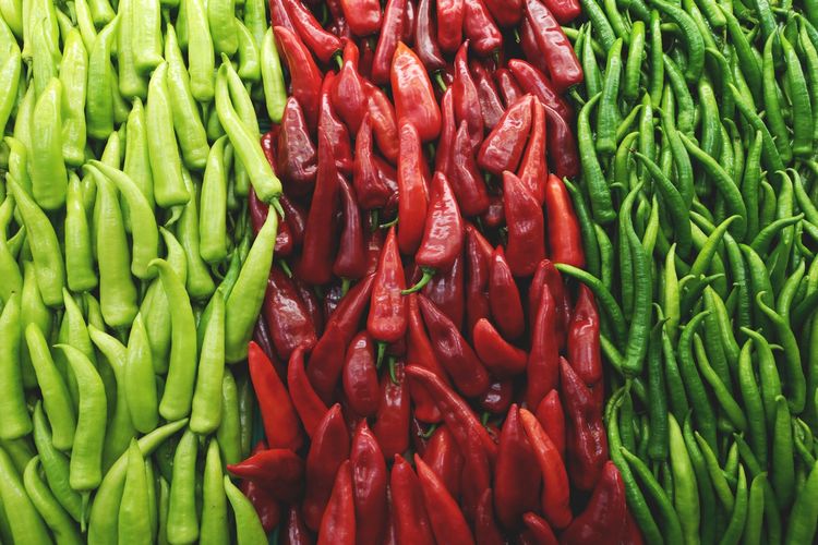 Begini Cara Menanam Cabe Rawit dalam Pot, Cocok untuk yang Punya Lahan Sempit