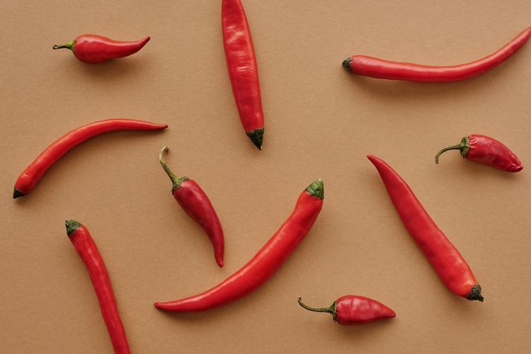 5 Cara Menanam Cabe Merah di Lahan, Cocok untuk yang Punya Lahan Luas dan Ingin Jadi Petani Cabai