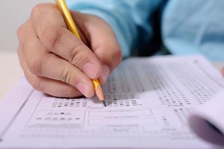 Kunci Jawaban Tema 1 Kelas 3 SD Halaman 186 187 Buku Tematik Subtema 4 Pembelajaran 6: Mencangkok Tanaman