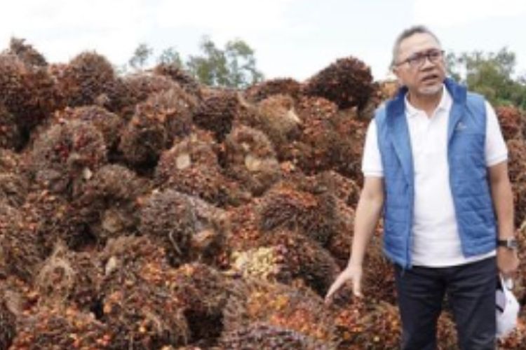 Bantu Sejahterakan Petani Sawit, Presiden Jokowi Tindak Lanjuti Ekspor 1 Juta Ton CPO ke Tiongkok