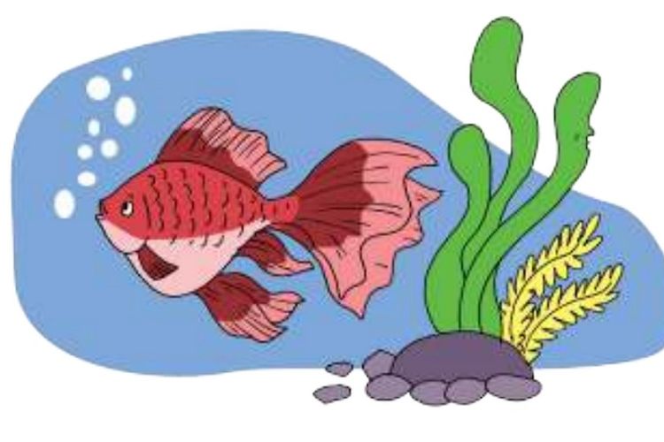 Kunci Jawaban Tema 1 Kelas 5 SD Halaman 14 17 Buku Tematik Subtema 1: Organ Gerak Ikan hingga Kambing