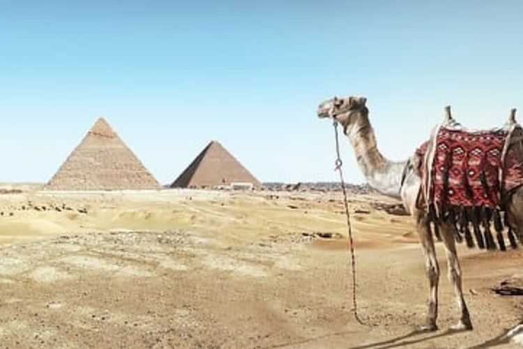 Fakta-fakta Gurun Sahara, Padang Pasir Terluas di Muka Bumi dan Punya Sungai Terpanjang Sedunia