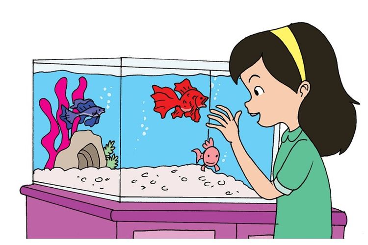 Kunci Jawaban Tema 2 Kelas 5 SD Halaman 1 2 3 Buku Tematik Subtema 1 : Dayu dan Ikan Hias