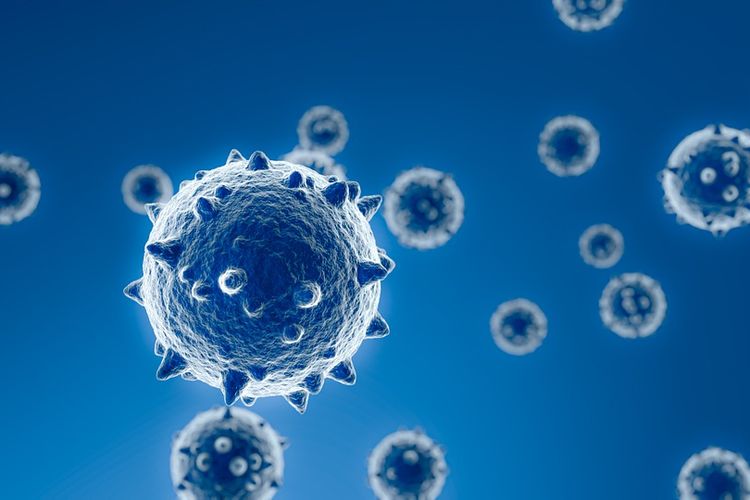 Penyakit Cacar Monyet Muncul di Jateng, Begini Tanggapan Gubernur Ganjar kepada Masyarakat