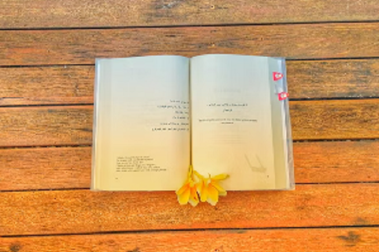 5 Contoh Puisi Tema Hari Kemerdekaan Indonesia atau HUT RI ke-77, Sangat Cocok Menyemarakkan 17 Agustus 2022