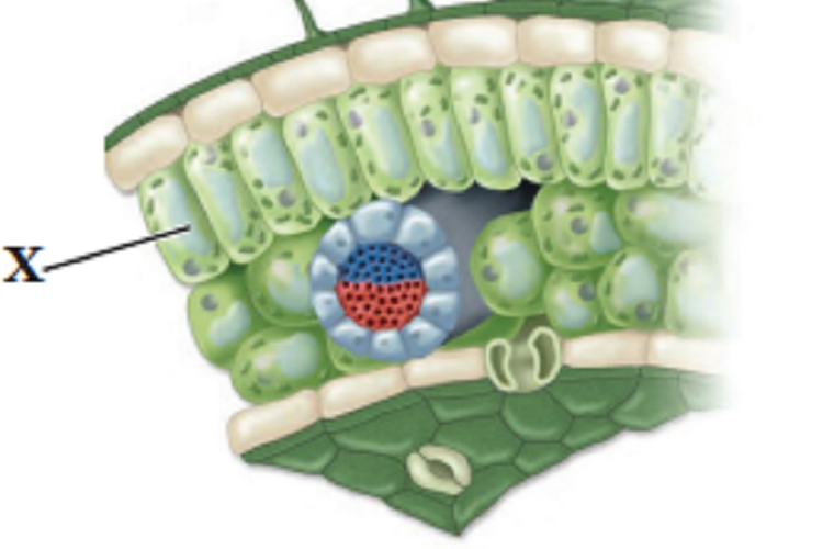Kunci Jawaban IPA Kelas 8 SMP Halaman 149 150 151, Uji Kompetensi 1 Pilihan Ganda