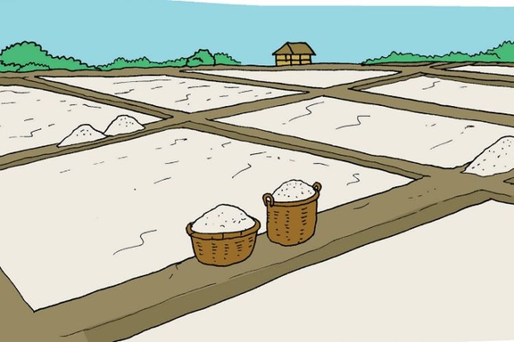 Kunci Jawaban Tema 3 Kelas 3 SD Halaman 177 Buku Tematik Subtema 4 Pembelajaran 1: Bertani Garam