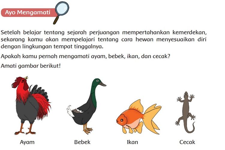 Kunci Jawaban Tema 2 Kelas 6 SD Halaman 48 49 Buku Tematik Subtema 2 Pembelajaran 1