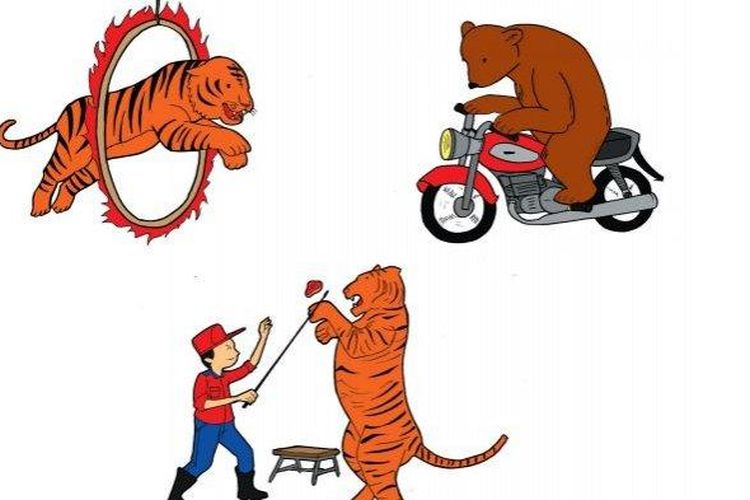 Kunci Jawaban Tema 2 Kelas 3 SD Halaman 199 200 Buku Tematik Subtema 4 Pembelajaran 5: Menyayangi Hewan