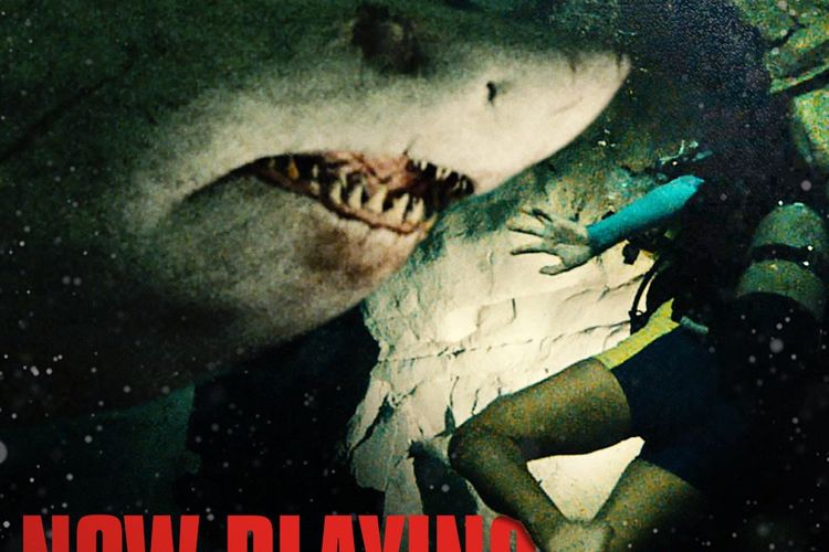 Sinopsis 47 Meters Down Uncaged di Bioskop Trans TV Hari Ini: Teror Hiu Mematikan Berlanjut