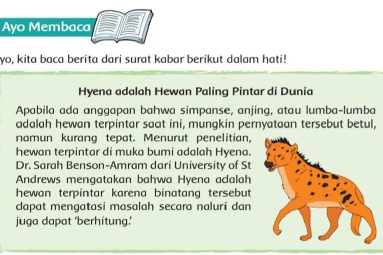 Kunci Jawaban Tema 2 Kelas 6 SD Halaman 70 71 Buku Tematik Subtema 2 : Cara Hyena Mempertahankan Diri