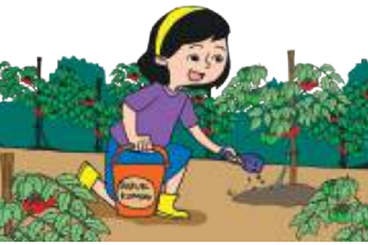 Kunci Jawaban Tema 2 Kelas 3 SD Halaman 19 20 Buku Tematik Subtema 1 Pembelajaran 3