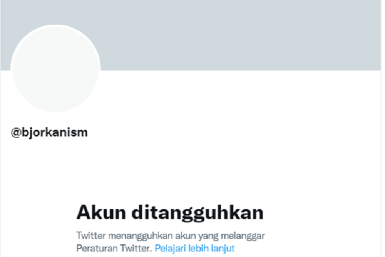 Akun Twitter Hacker Bjorka Medadak Hilang Setelah Sukses Bikin Geger Indonesia, Apakah Kena Hack Balik?