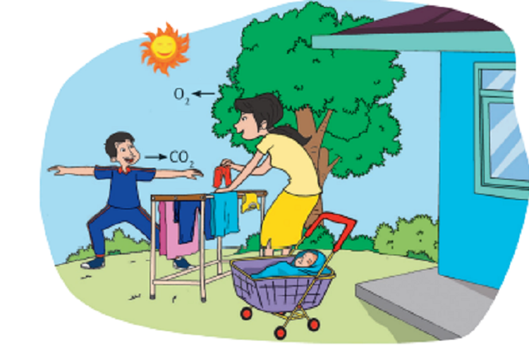 Kunci Jawaban Tema 2 Kelas 4 SD Halaman 2 Subtema 1: Sumber Energi