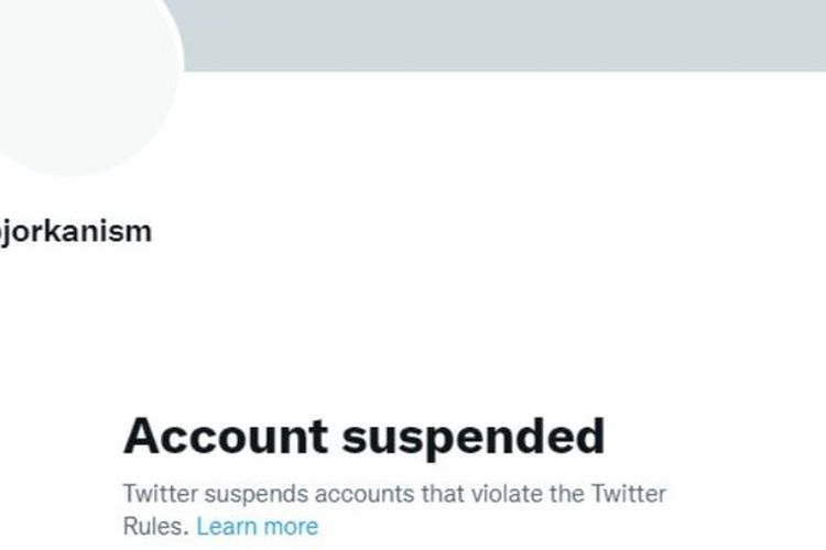 BREAKING NEWS, Akun Bjorka Tiba-Tiba Hilang Usai Satroni Puan Maharani dan Erick Thohir di Twitter