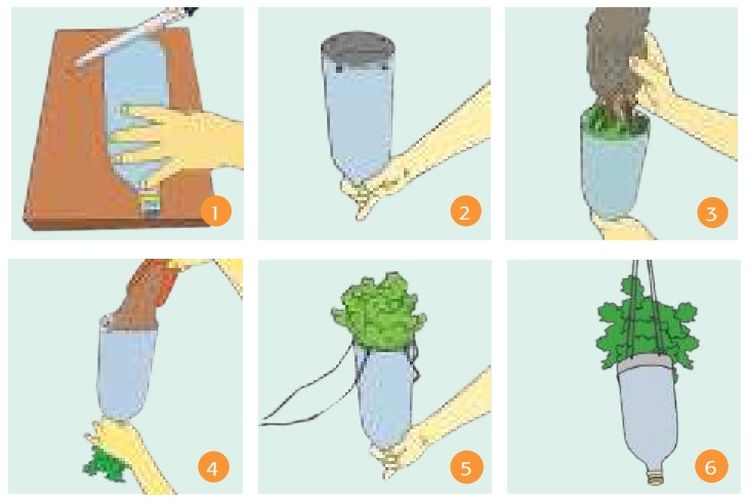 Kunci Jawaban Tema 2 Kelas 3 SD Halaman 122 123 Buku Tematik Subtema 3 : Menyayangi Tumbuhan