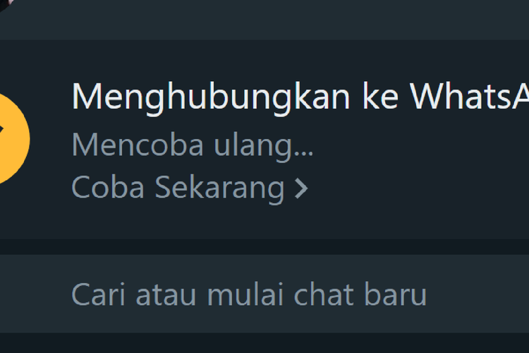 WhatsApp Down! Pengguna Kebingungan Berkirim Pesan, Begini Cara Mengatasinya