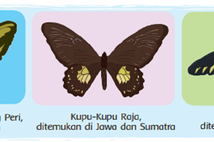 Kunci Jawaban Buku Tematik Tema 3 Kelas 4 SD Halaman 50 51 Subtema 2 Pembelajaran 1