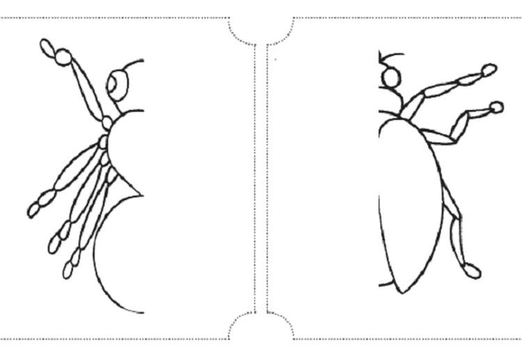 Kunci Jawaban Buku Tematik Tema 3 Kelas 4 SD Halaman 66 67 68 Subtema 2 Pembelajaran 3
