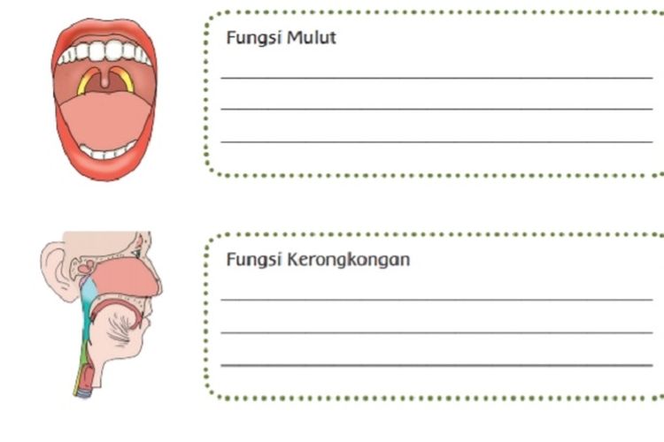 Kunci Jawaban Kelas 5 SD Tema 3 Buku Tematik Halaman 36 37 Subtema 1 : Fungsi Organ Pencernaan