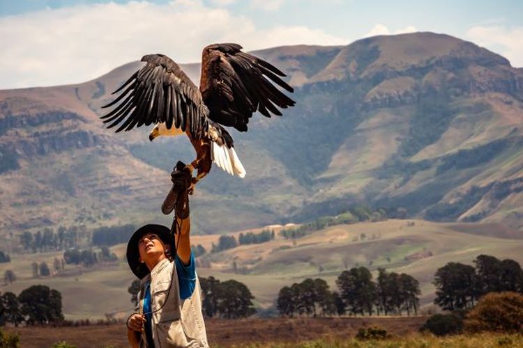 Sejarah Hari Konservasi Kehidupan Liar Sedunia pada 4 Desember 2022, Bisa Diperingati Dengan Cara Ini