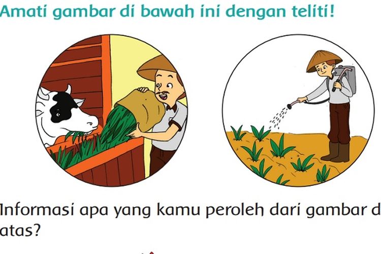 Kunci Jawaban Tema 4 Kelas 2 SD Halaman 199 200 201 204 205 Buku Tematik Subtema 4 Pembelajaran 6