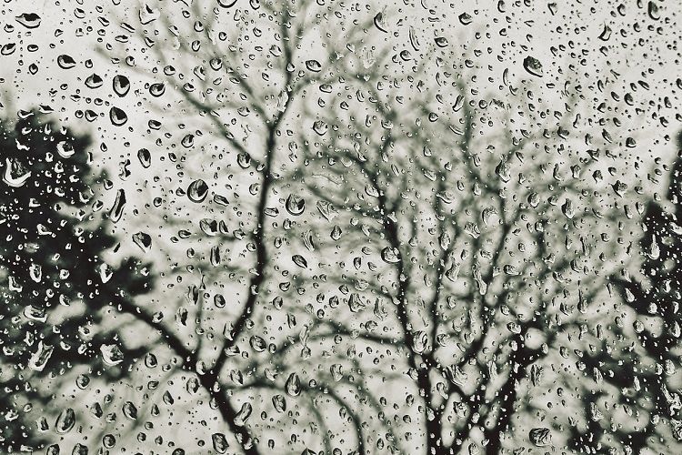 15 Rekomendasi Lagu Tema Bulan November yang Enak Didengar Kapan Saja: Salah Satunya November Rain