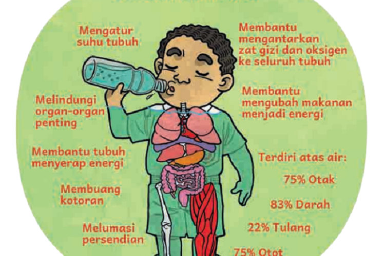 Kunci Jawaban Bahasa Indonesia Kelas 4 SD Kurikulum Merdeka Halaman 189, Pentingnya Air Bagi Tubuh