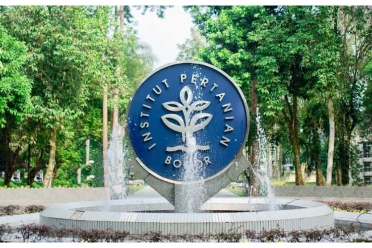 Ratusan Mahasiswa IPB Terjerat Pinjaman Online karena Ditipu oleh Senior: Usaha Online yang Tak Dapat Untung