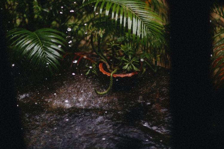 Prakiraan Cuaca Kota Medan Hari ini Senin, 26 Desember  2022: Berpotensi Kembali Turun Hujan